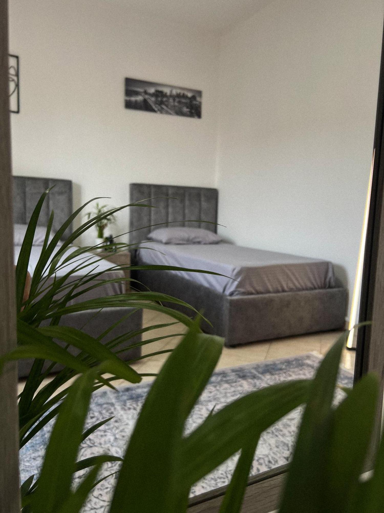Hostel By Fenix ติรานา ภายนอก รูปภาพ